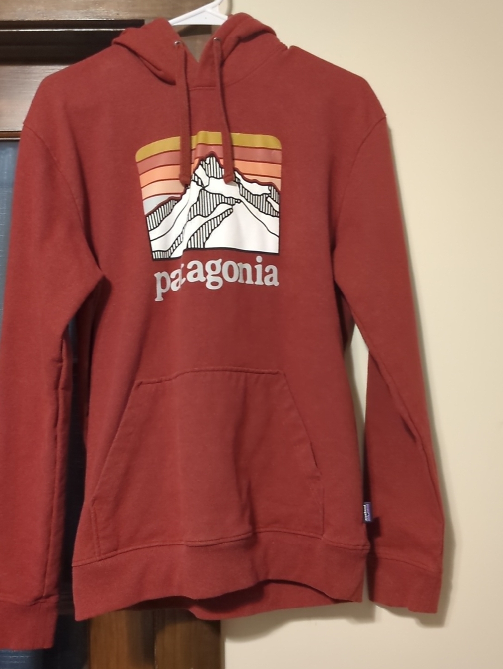 Patagonia Men's Rust Red Pullover Hoodie with Multicolor Mountain Graphic